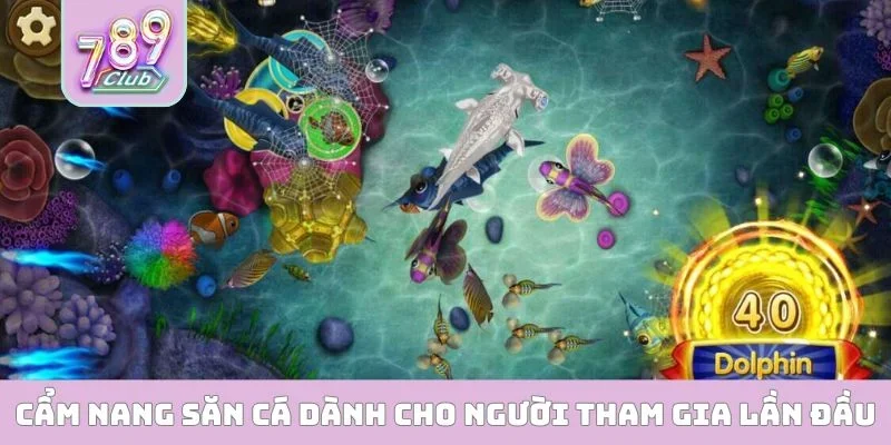 Cẩm Nang Săn Cá Dành Cho Người Mới Hốt Bạc Mỗi Ngày Cẩm nang săn cá dành cho người mới tham gia lần đầu