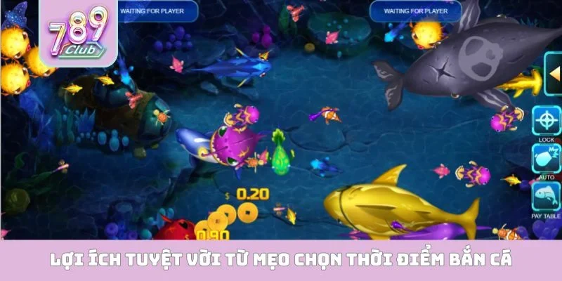 Mẹo Chọn Thời Điểm Bắn Cá - Nắm Trọn Cơ Hội Hốt Bạc Triệu Lợi ích tuyệt vời từ mẹo chọn thời điểm bắn cá