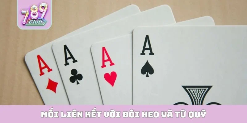 Đôi Heo Có Chặt Được Tứ Quý Không - Giải Mã Thông Tin Mối liên kết với đôi heo và tứ quý