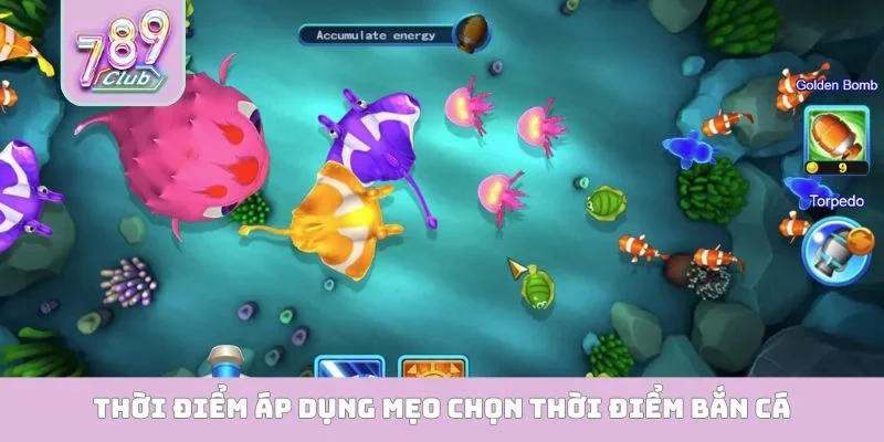 Mẹo Chọn Thời Điểm Bắn Cá - Nắm Trọn Cơ Hội Hốt Bạc Triệu Thời điểm áp dụng mẹo chọn thời điểm bắn cá